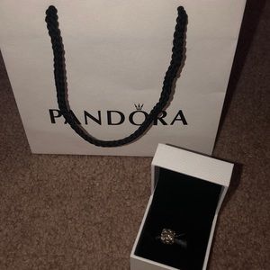 Never worn Pandora Family-Love Charm